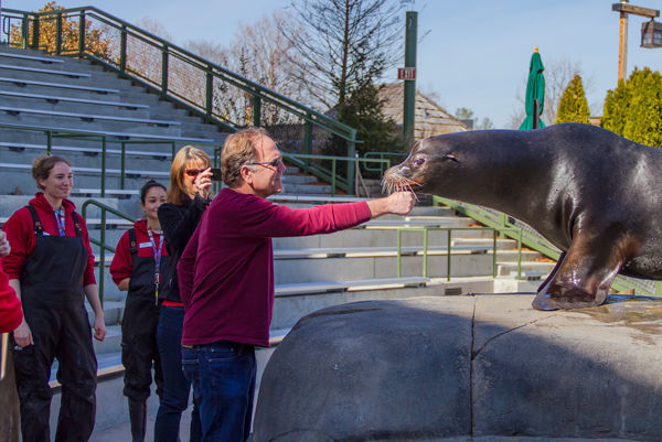 Sea lion tour.jpg